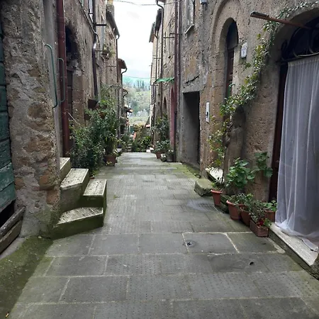 Il Nido Di 公寓 皮蒂利亚诺